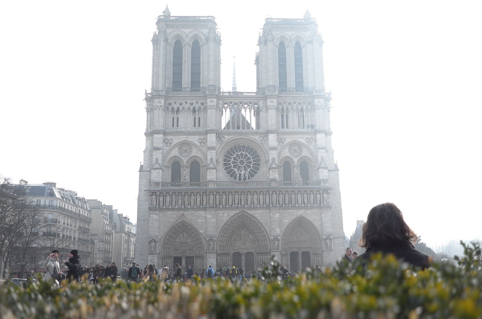Cathédrale Notre-Dame de Paris