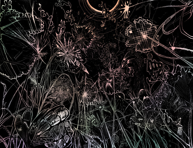 1-fff46414b142062da65c5ede67cddc0d